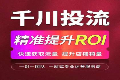 SEM代运营经典案例解析与启示